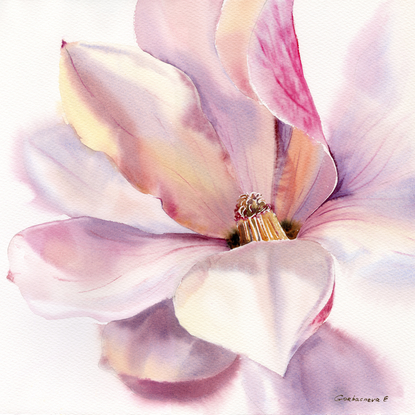 Magnolia Flower square Print