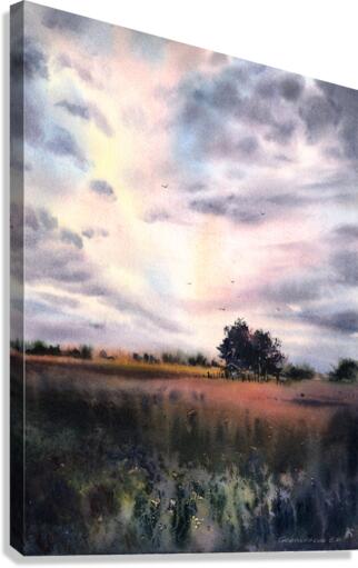 Field and clouds 2  Canvas Print