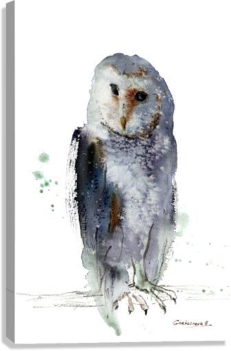 Gray owl Canvas Print