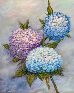 Hydrangea