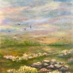 soft meadow 1