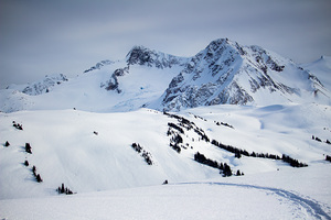 Fissile Peak Whistler