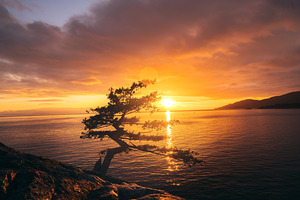 Lighthouse Park Sunset