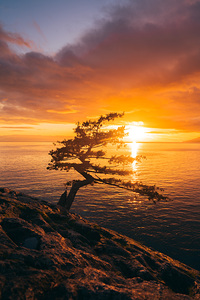 Lighthouse Park Sunset