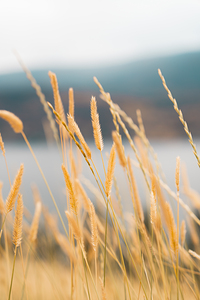 DSC05739 2025 July14 PaulsTombWalk FoirPrint