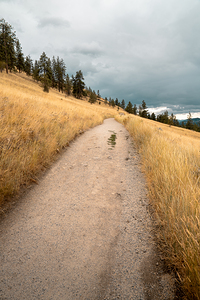 DSC05719 2025 July14 PaulsTombWalk FoirPrint