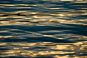Golden Lake Shimmer