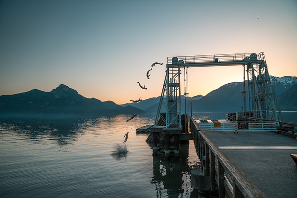 Howe Sound Back Flip by Josh Woodman Photography