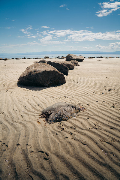 Savary Island Sand by Josh Woodman Photography