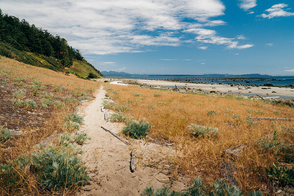 Savary Island Beach by Josh Woodman Photography