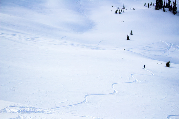 Snowboard Tracks Whistler by Josh Woodman Photography