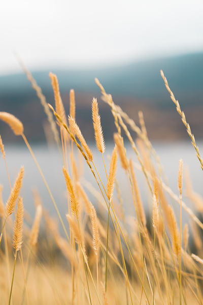 DSC05739 2025 July14 PaulsTombWalk FoirPrint by Josh Woodman Photography