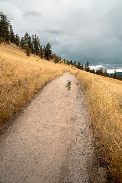 DSC05719 2025 July14 PaulsTombWalk FoirPrint by Josh Woodman Photography