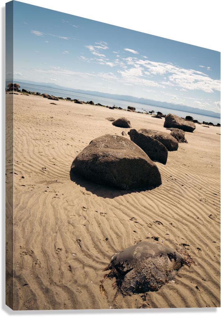 Savary Island Sand Canvas Print
