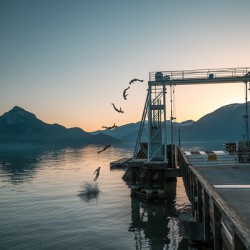 Howe Sound Back Flip