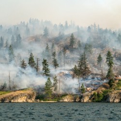 Okanagan Forest Fire