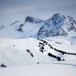 Fissile Peak Whistler