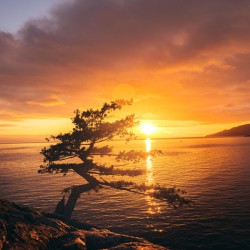 Lighthouse Park Sunset