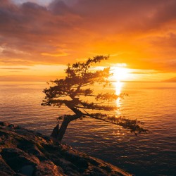 Lighthouse Park Sunset