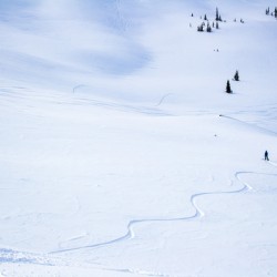 Snowboard Tracks Whistler