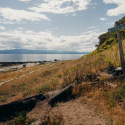 Savary Island Meadow