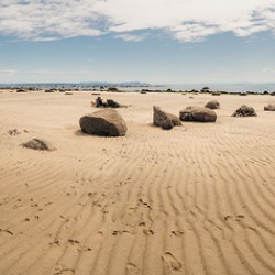 Savary Island Beach Days