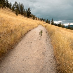 DSC05719 2025 July14 PaulsTombWalk FoirPrint