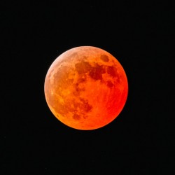 March 2025 Lunar Eclipse