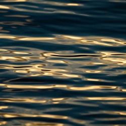 Okanagan Lake Sunset Shimmer