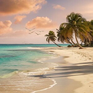 a serene beach scene with crystal clear turquoise