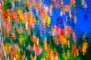 Secret Garden
