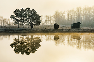 Winter Mists