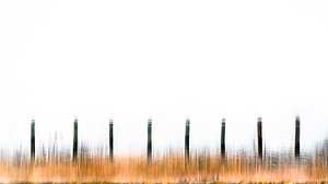 Fence Line
