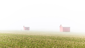 Down on the Farm