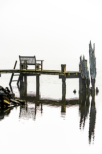 From the Dock on the River