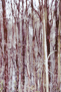 The Grove II