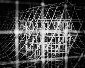 Crab Pot in Black and White