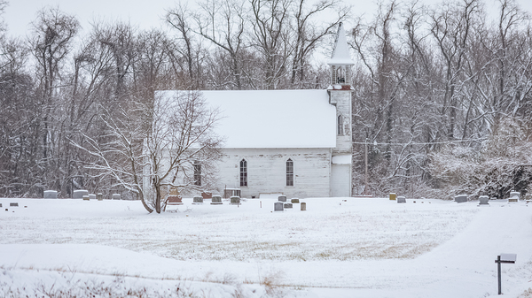 Winter Peace Print