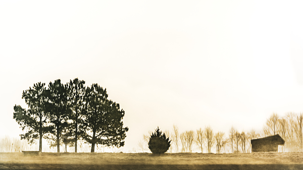 Winter Mists Reflected Print
