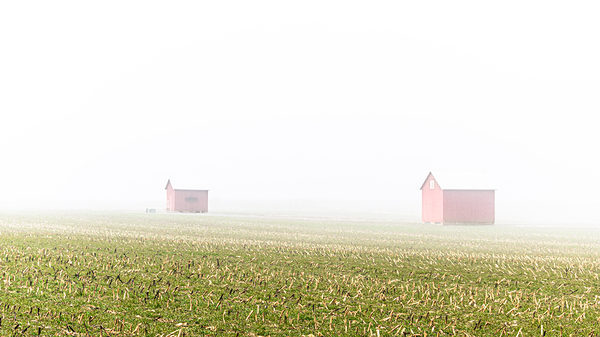 Down on the Farm Print