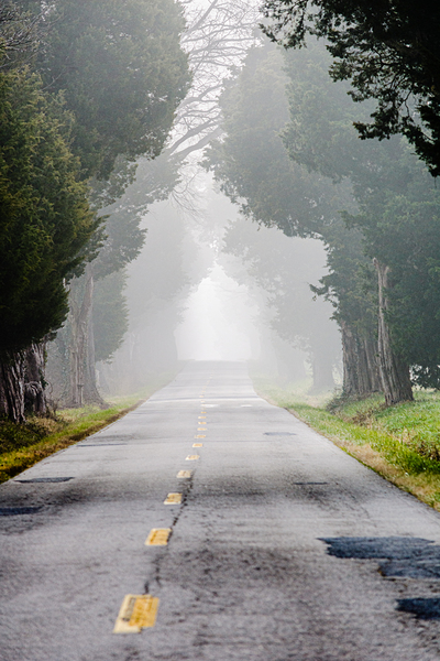 Country Lane by Reflective Photography
