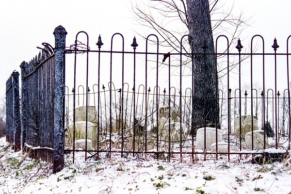 Winters End Print