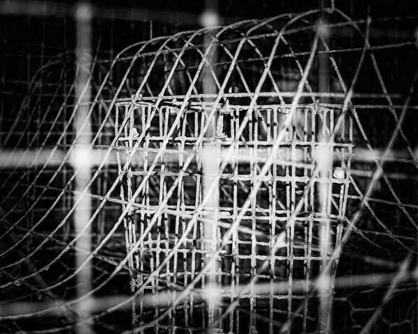 Crab Pot in Black and White by Reflective Photography