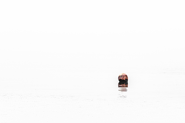 Buoy Print