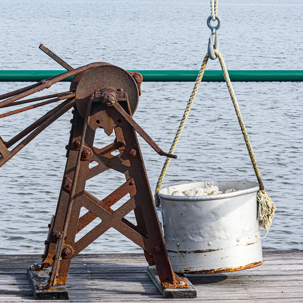 Catch of the Day by Reflective Photography