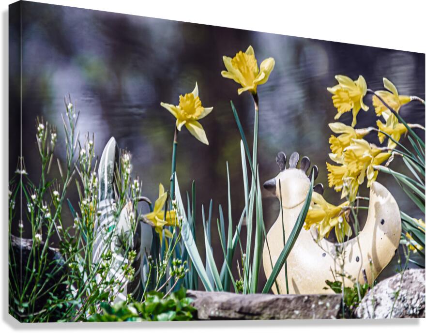 Whimsy Canvas Print