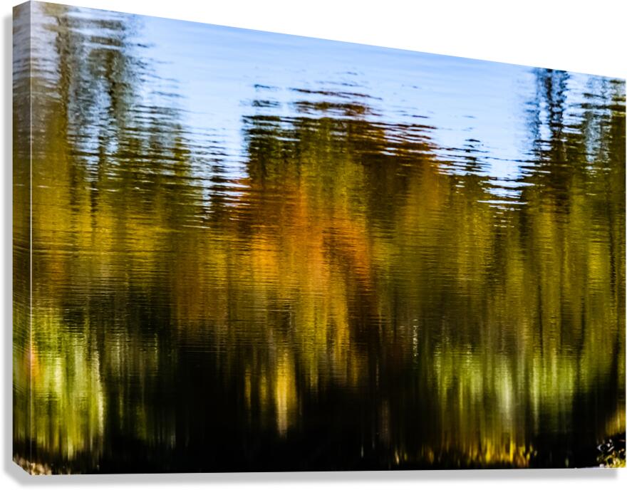 Preamble Canvas Print