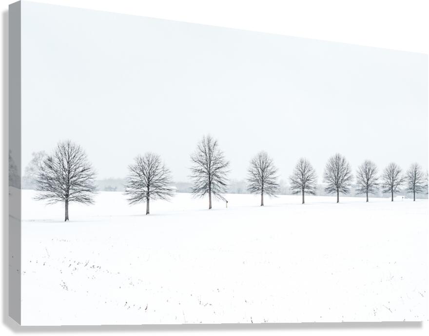 Tree Line Canvas Print