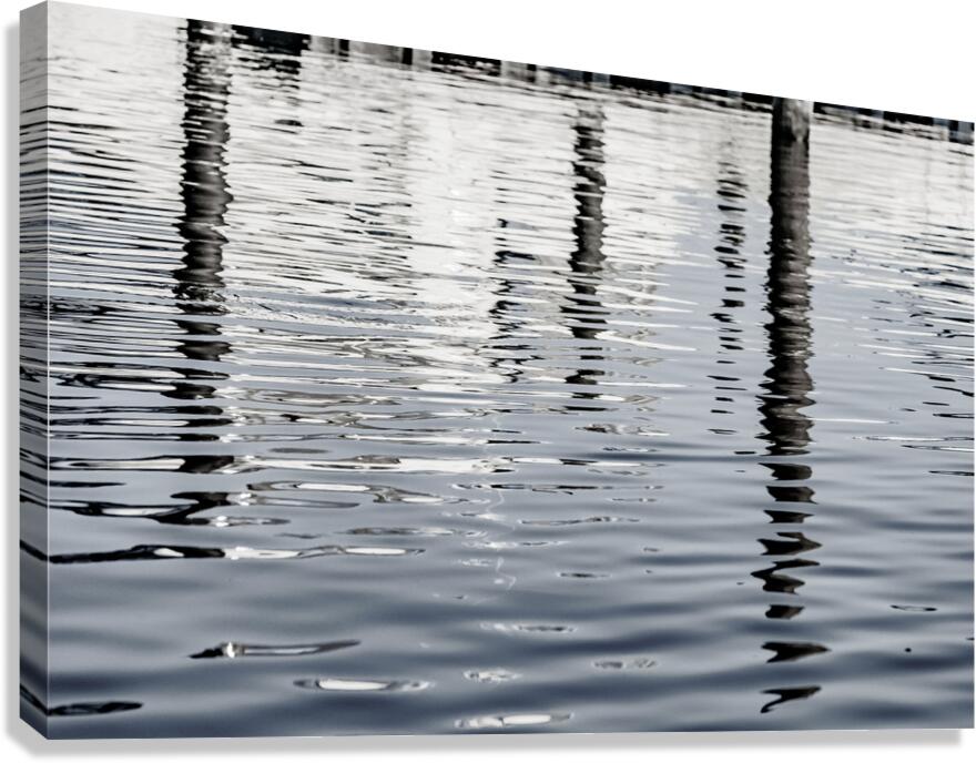 Quick Silver Canvas Print