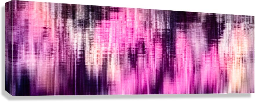 Spring Canvas Print
